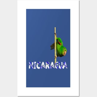 Nicaragua Parrot Posters and Art